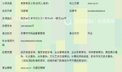 安康市翼龙经济信息咨询服务